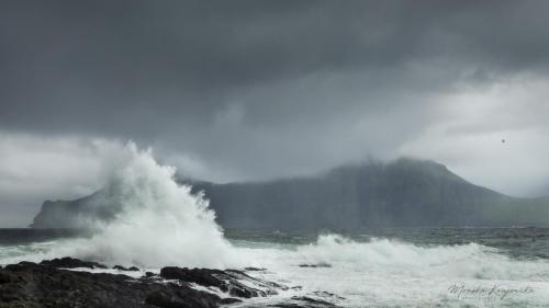 DSC_2596 — 1